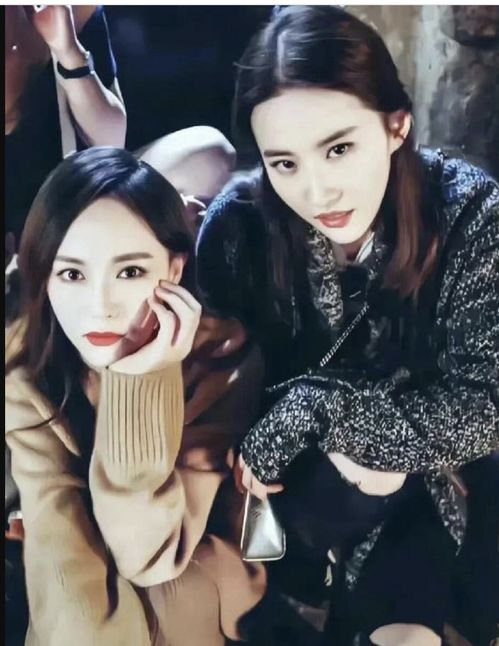 刘亦菲38岁生日亮相智界：勇闯自我升级之旅