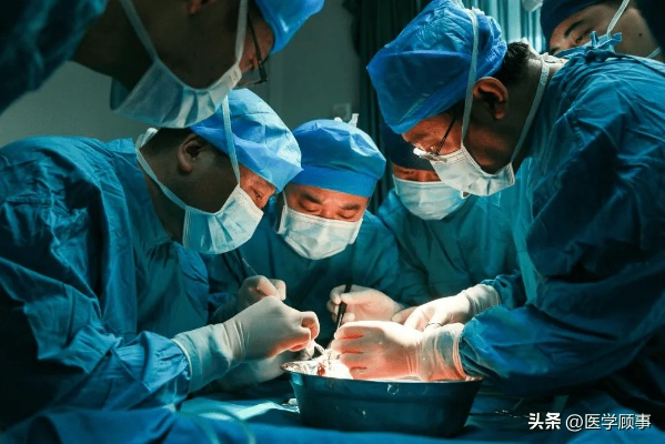 基因编辑猪肺移植突破！中国团队再创医学奇迹