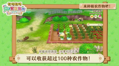 《牧场物语风之繁华集市PC版配置要求揭秘》