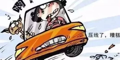 沈阳二环高架葫芦失主致歉：9分扣分事件引关注