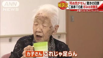 90岁游戏玩家杨老头获吉尼斯特别荣誉！老当益壮，游戏界榜样！