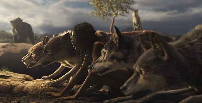 《狼伴侣》Steam好评如潮！动作冒险巅峰之作！