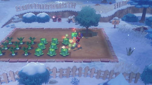 《牧场物语风之繁华集市》发售在即！独家预告片+纪念插画首曝！