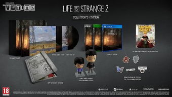 《丝之歌》Switch2实体版2026年初发售，抢先体验！