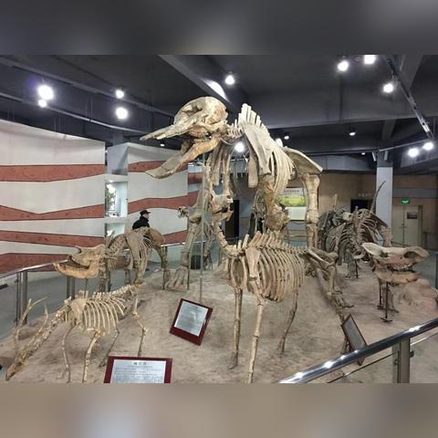 武汉天空现神秘巨影！专家揭秘：非陨石坠落之谜