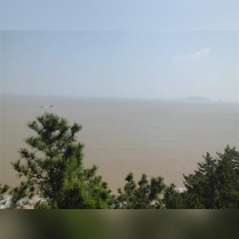 小岛每年仅玩一款游戏：艺术思考胜过游戏体验