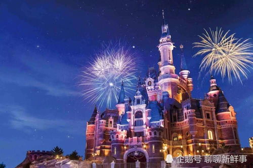 迪士尼乐园奇遇：招摇装扮引热议，网友热议不断