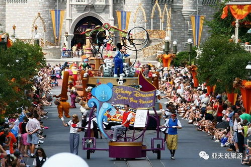 迪士尼乐园奇遇：招摇装扮引热议，网友热议不断