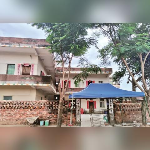 全红婵新家施工：揭秘千人打卡背后的真实情况