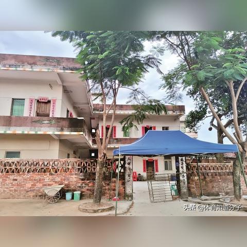 全红婵新家施工：揭秘千人打卡背后的真实情况