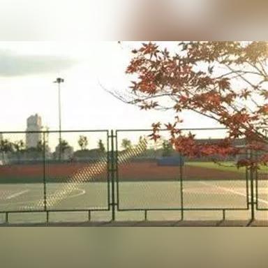 《失落之魂》冰骑士BOSS实战：畅快淋漓的战斗体验！