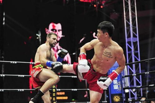 《有氧拳击2》11月27日下架倒计时！最后抢购机会！