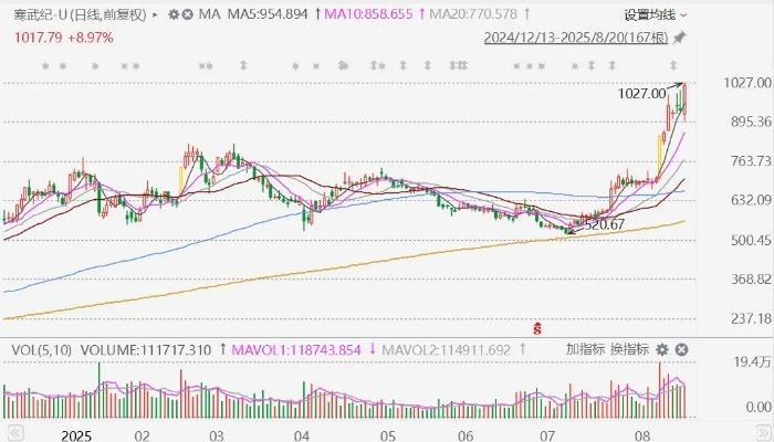 寒武纪股价飙升，营收狂增4300%，揭秘游戏AI新霸主！