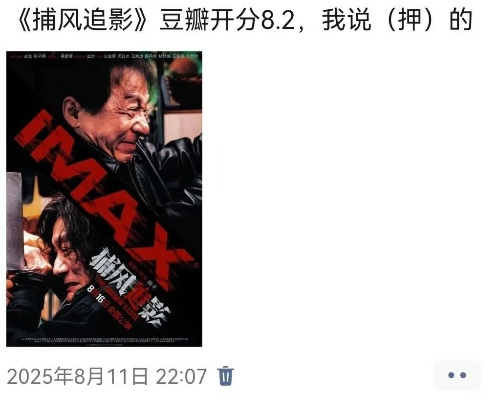 《捕风追影》8亿票房巅峰，豆瓣8.2分领跑动作犯罪片！