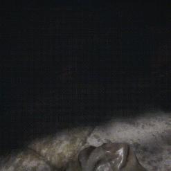 《生化9》恐怖升级！重温《生化7》惊悚体验