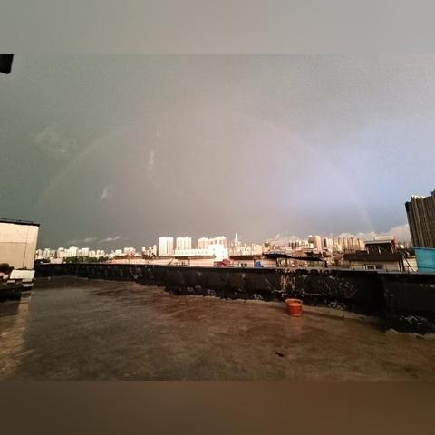 象棋复盘4小时雨中坚守，国际象棋大师共鸣：我也有过！