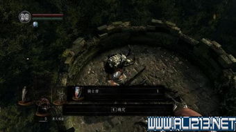 《无期迷途死域遗瘴攻略：深阱残骸第64期高效打法揭秘》