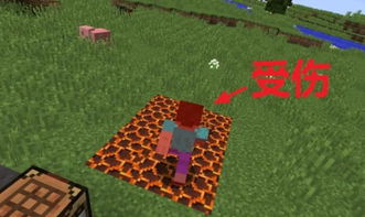 《Minecraft火焰保护获取攻略：属性效果详解》