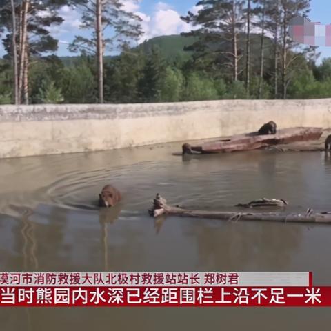 龙吸水奇观！黑龙江天空现神秘“吸管”现象