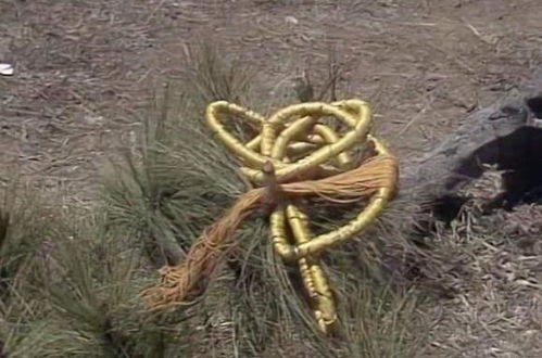 《猴王树上撒金，主人巧夺5万卢比！》