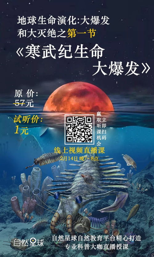 《星球生命创世纪：探索《备用计划：家园》新篇章》