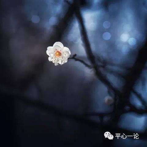 无限暖暖落叶堆挑战高分攻略，轻松上分！