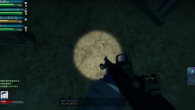 《禁闭求生2复仇者彩蛋剑：单手剑速得攻略》