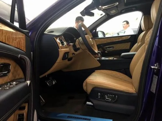 越南新势力豪华SUV，真金金丝楠木尊享版！