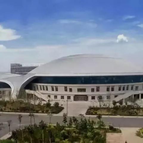 羽毛球价格翻倍涨，竟与猪肉降价有关？揭秘惊人内幕！