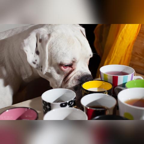 《地狱即我们》狂揽9.5分！2025年度最佳游戏盘点必看