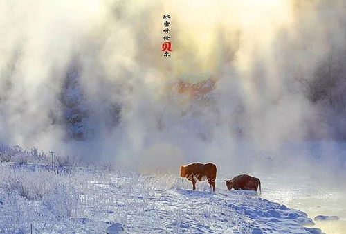 中国冷极根河市率先供暖，探秘“最早暖流”