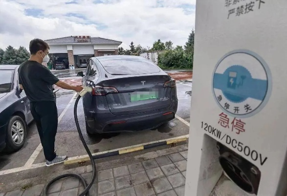 《高速服务区充电桩遇熊守门，玩家探秘真相！》