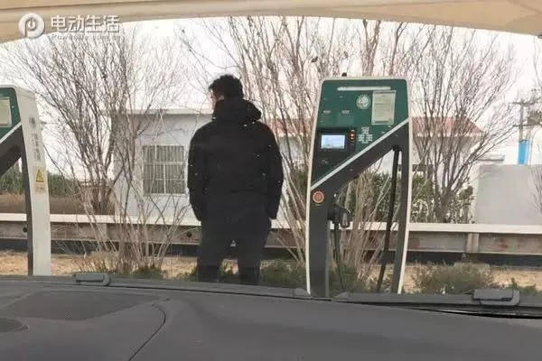《高速服务区充电桩遇熊守门，玩家探秘真相！》