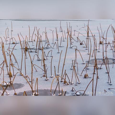 冰面发电新突破：中国科学家发现冰弯曲发电，未来科技革命在即