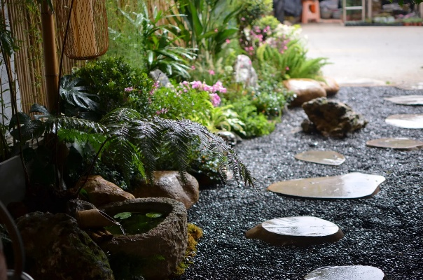 绿植小筑：打造你的治愈花园