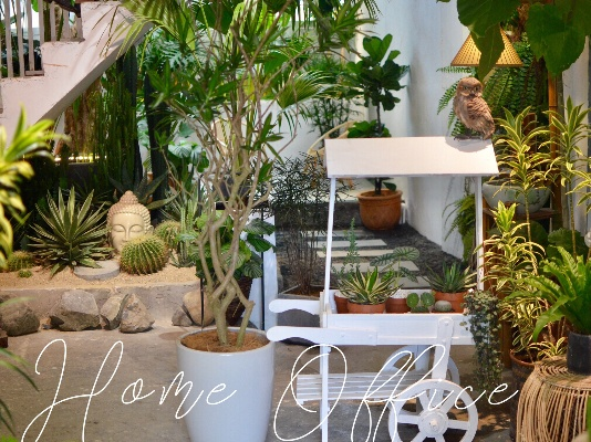 绿植小筑：打造你的治愈花园