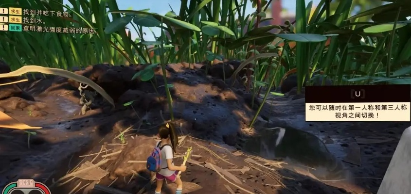 《禁闭求生2安装脚本报错修复全攻略》