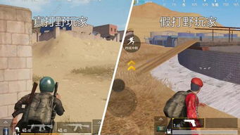 禁闭求生2野餐桌攻略：隐藏路线全揭秘