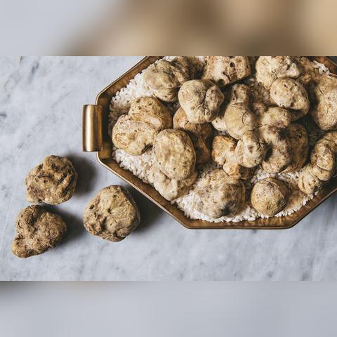 星露谷物语养猪松露流攻略：轻松致富的秘密技巧