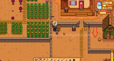 星露谷物语鸡窝升级攻略：打造高效农场必备技巧