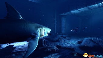 深海捕猎技巧！揭秘戴夫捕捉海鳝的独家秘籍