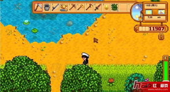 星露谷物语蘑菇树桩流玩法揭秘！高效攻略轻松上手