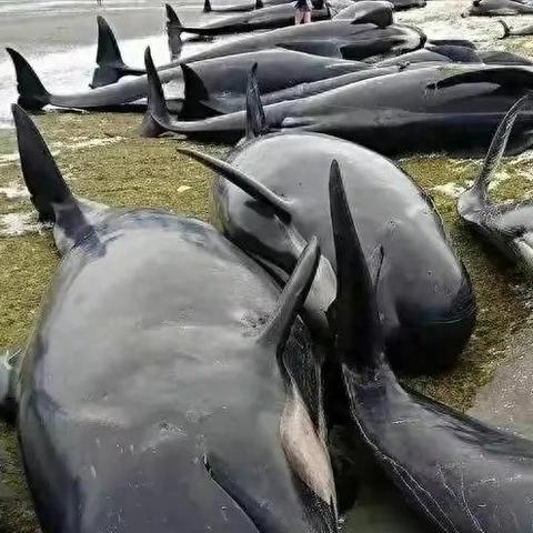 《死亡搁浅2二段跳技巧揭秘！轻松实现华丽跳跃》