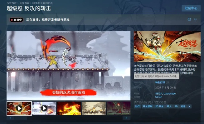 《超级忍反攻斩击技巧攻略：高效战斗玩法揭秘》