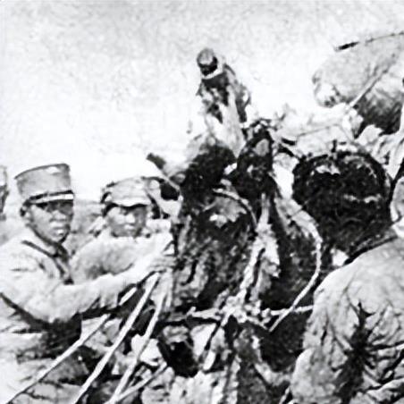 《剑与远征》命运困境Ⅲ攻略：轻松通关秘籍大揭秘