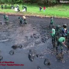 《死亡搁浅2援助申请攻略：全面类型解析》
《揭秘死亡搁浅2援助申请：不同类型详解》
《玩转死亡搁浅2！援助申请类型大汇总》
《死亡搁浅2援助申请全攻略：类型大揭秘》
《掌握这些类型！轻松应对死亡搁浅2援助申请》