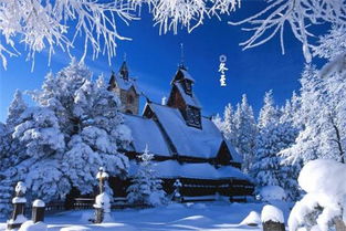 雪景喵趣玩法揭秘：轻松掌握《桃源深处有人家》雪景乐趣