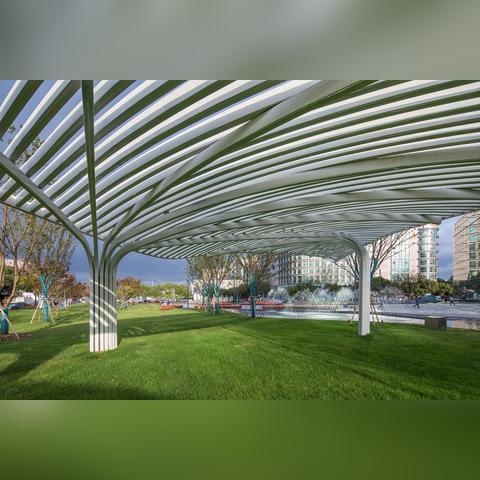 《万象门派五连招式大揭秘！秋日银杏外观惊艳首曝》