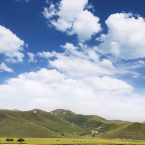 《万象门派五连招式大揭秘！秋日银杏外观惊艳首曝》