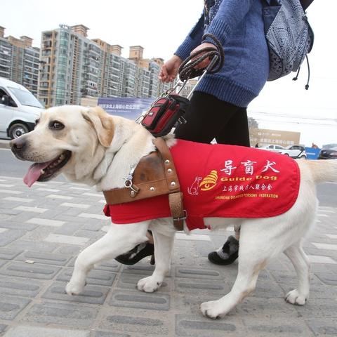 传奇手游正版平台盘点：揭秘热门官方平台，畅玩不迷路